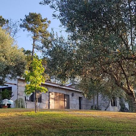 Quinta Da Pedra Mija Guest House Santar Ngoại thất bức ảnh