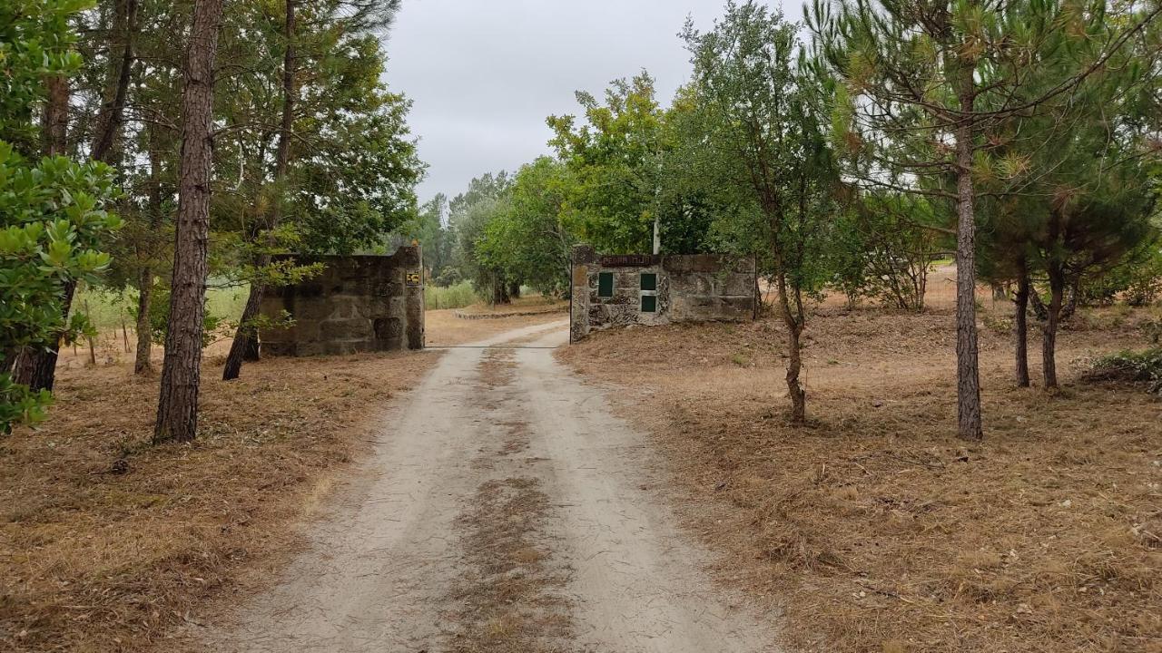 Quinta Da Pedra Mija Guest House Santar Ngoại thất bức ảnh