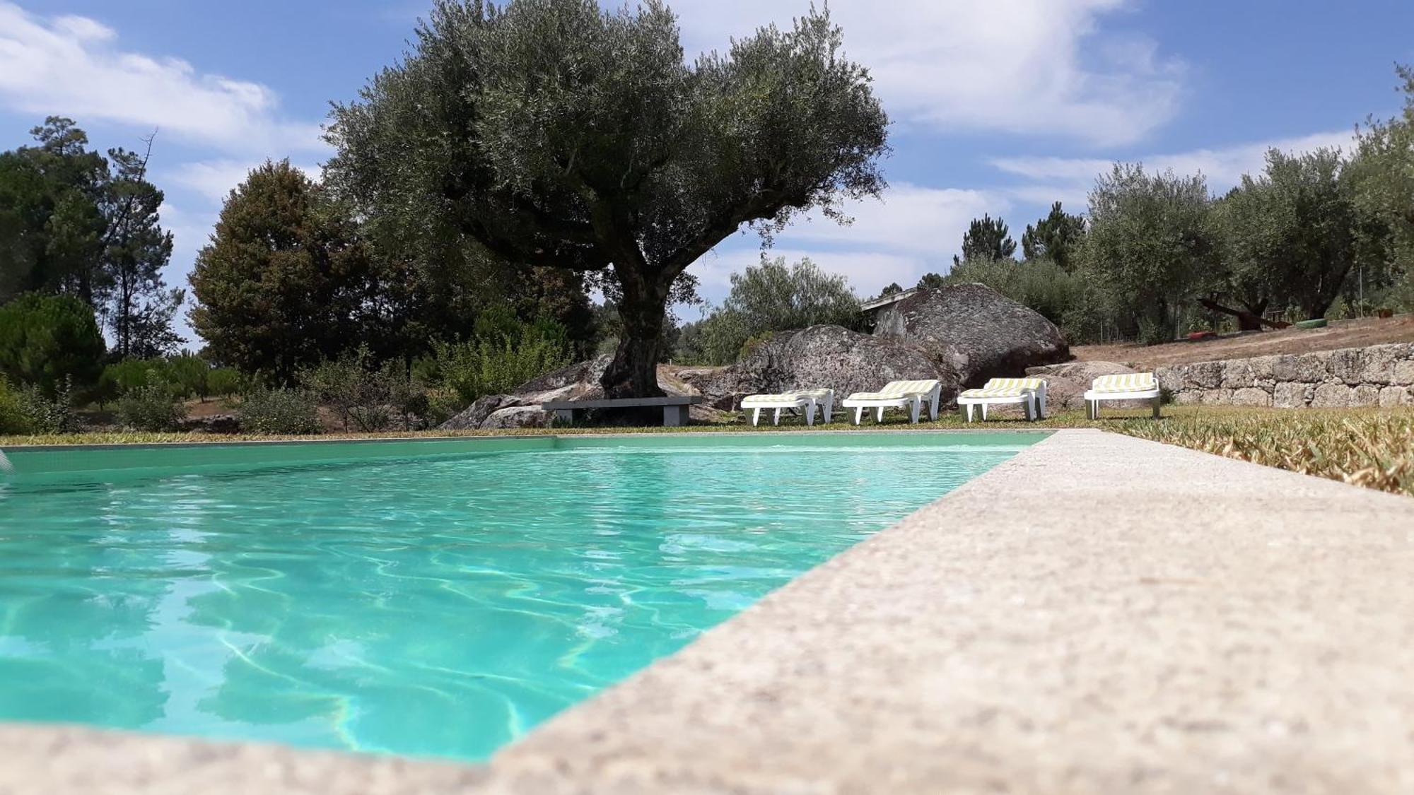 Quinta Da Pedra Mija Guest House Santar Ngoại thất bức ảnh
