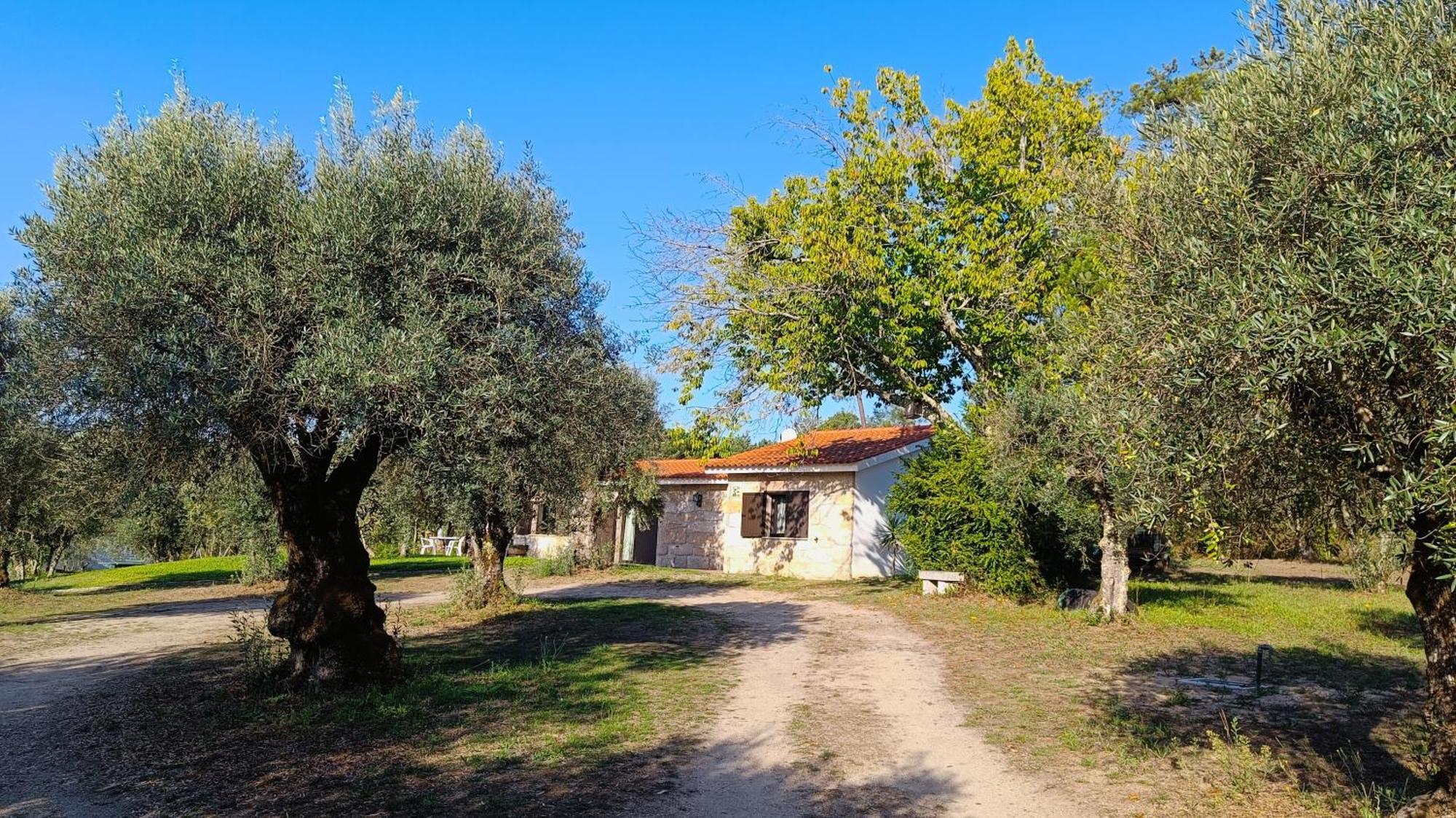 Quinta Da Pedra Mija Guest House Santar Ngoại thất bức ảnh