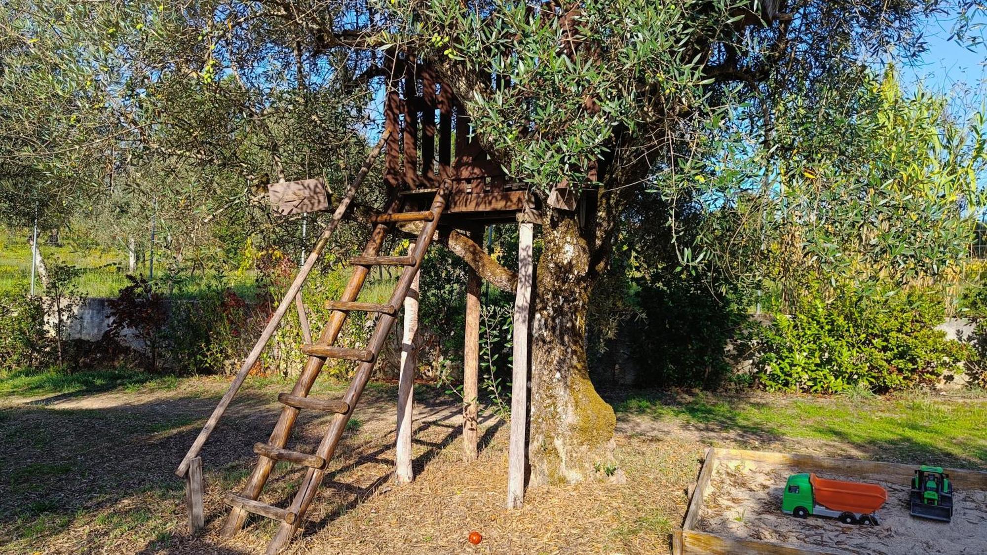 Quinta Da Pedra Mija Guest House Santar Ngoại thất bức ảnh