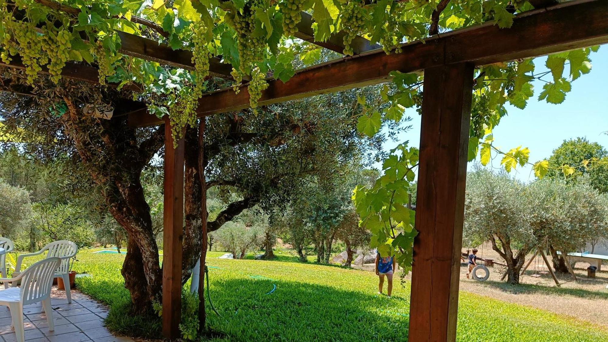 Quinta Da Pedra Mija Guest House Santar Ngoại thất bức ảnh