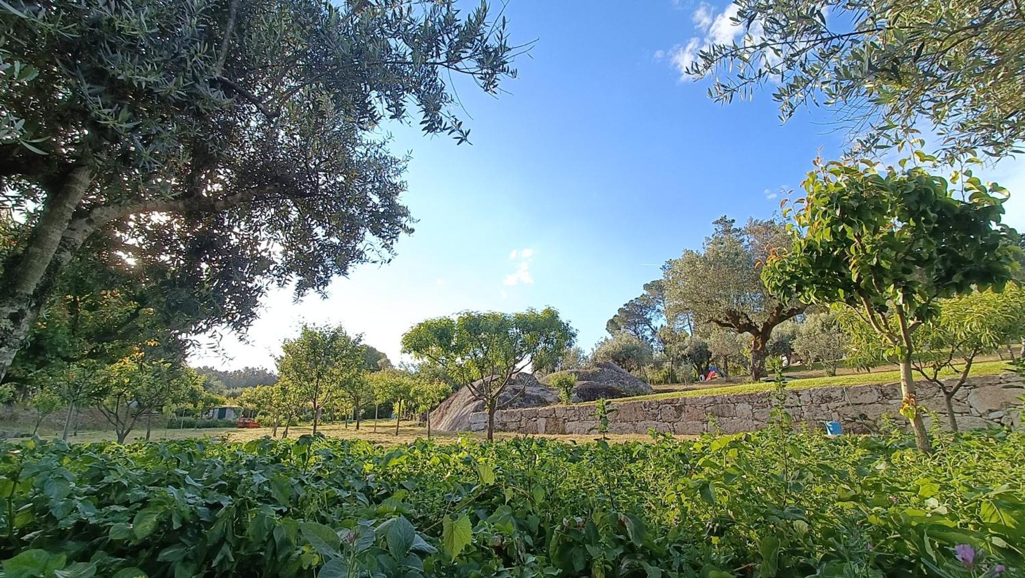Quinta Da Pedra Mija Guest House Santar Ngoại thất bức ảnh