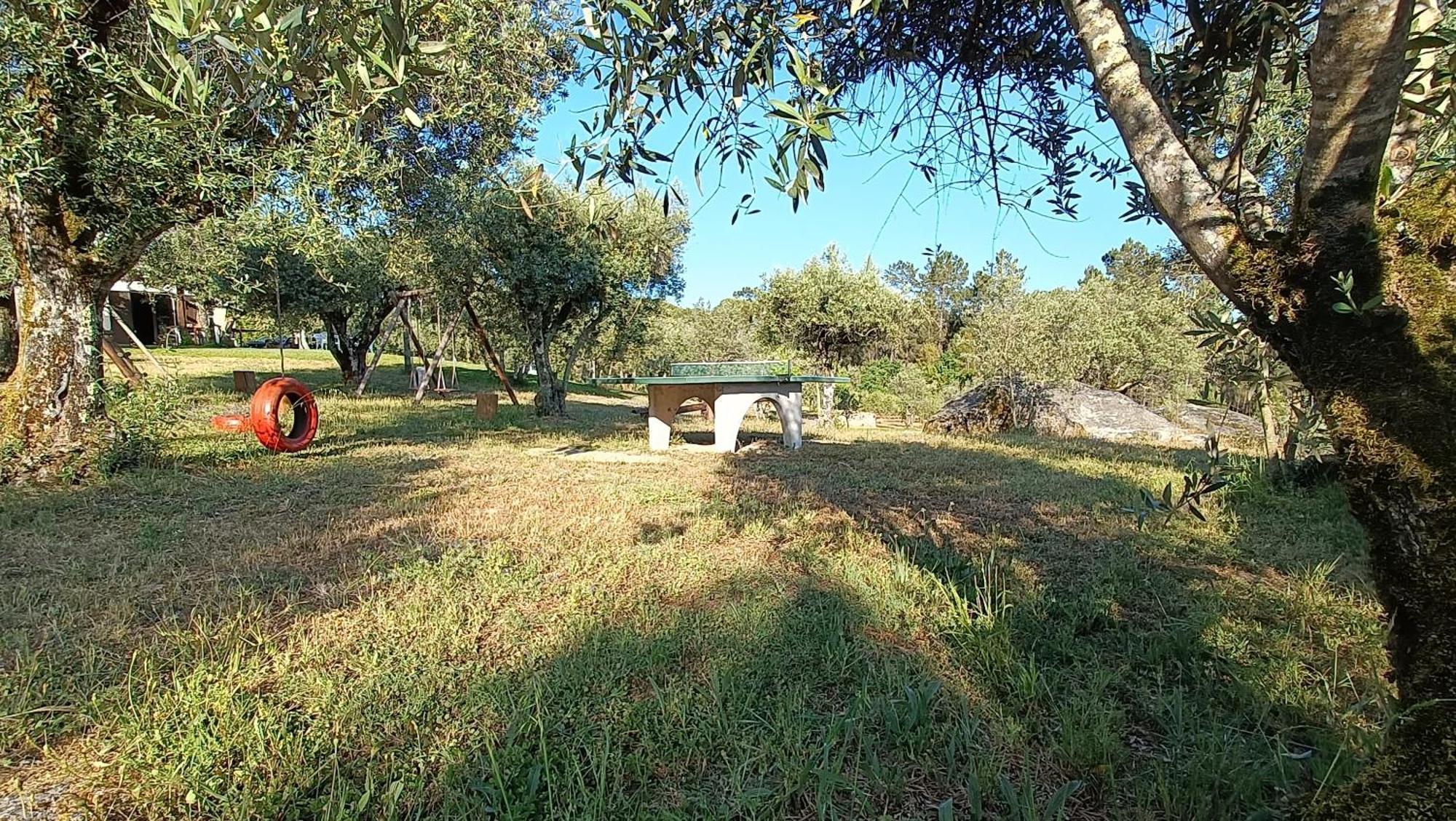 Quinta Da Pedra Mija Guest House Santar Ngoại thất bức ảnh